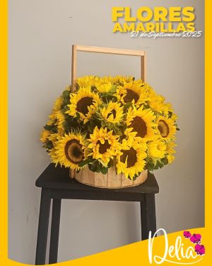 Diseño 1