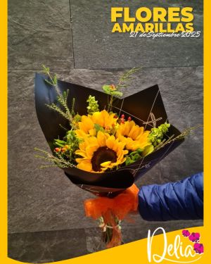 Diseño 14
