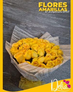 Diseño 8